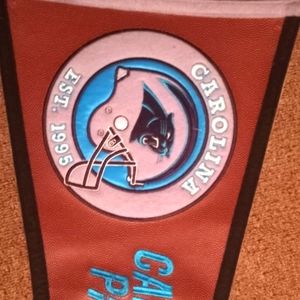 Carolina Panthers  Pigskin Pennant